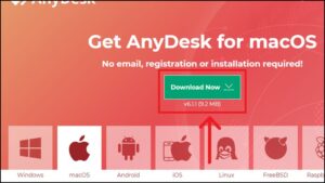 download anydesk