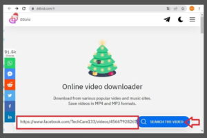 online video downloader